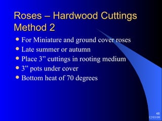 Roses – Hardwood Cuttings Method 2 For Miniature and ground cover roses Late summer or autumn Place 3” cuttings in rooting medium  3” pots under cover Bottom heat of 70 degrees 