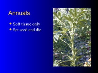 Annuals Soft tissue only Set seed and die 