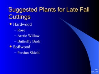 Suggested Plants for Late Fall Cuttings Hardwood Rose Arctic Willow Butterfly Bush Softwood Persian Shield 