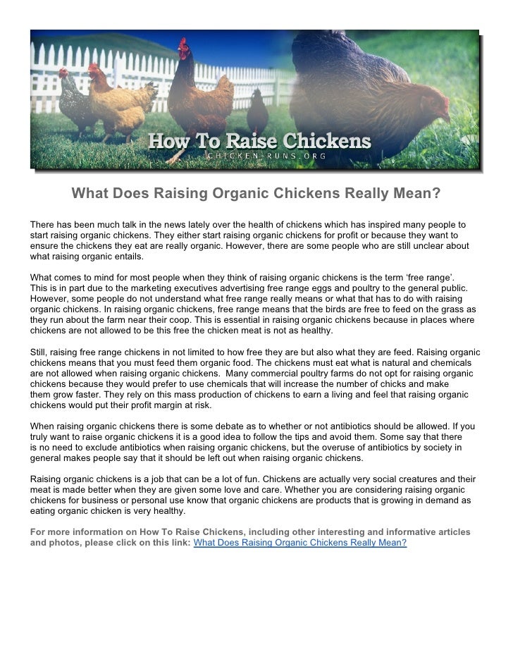 What Does Raising Organic Chickens Really Mean?