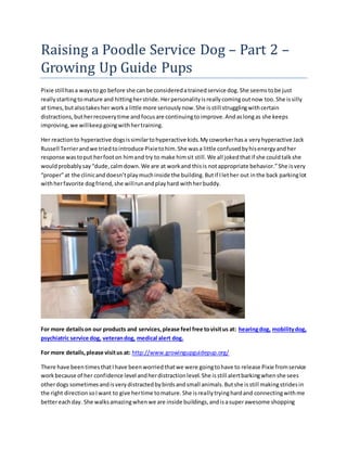 Raising a Poodle Service Dog – Part 2 –
Growing Up Guide Pups
Pixie stillhasa waysto go before she canbe consideredatrainedservice dog.She seemstobe just
reallystartingtomature and hittingherstride.Herpersonalityisreallycomingoutnow too.She issilly
at times,butalsotakesher worka little more seriouslynow.She isstill strugglingwithcertain
distractions,butherrecoverytime andfocusare continuingtoimprove.Andaslongas she keeps
improving,we willkeepgoingwithhertraining.
Her reactionto hyperactive dogsissimilartohyperactive kids.Mycoworkerhasa veryhyperactive Jack
Russell Terrierandwe triedtointroduce Pixietohim.She wasa little confusedbyhisenergyandher
response wastoput herfooton himand try to make himsit still.We all jokedthatif she couldtalkshe
wouldprobablysay“dude,calmdown.We are at workand thisis notappropriate behavior.”She isvery
“proper”at the clinicanddoesn’tplaymuchinside the building.Butif Ilether out inthe back parkinglot
withherfavorite dogfriend,she willrunandplayhard withherbuddy.
For more detailson our products and services,please feel free tovisitus at: hearingdog, mobilitydog,
psychiatric service dog, veterandog, medical alert dog.
For more details,please visitus at: http://www.growingupguidepup.org/
There have beentimesthatIhave beenworriedthatwe were goingtohave to release Pixie fromservice
workbecause of her confidence level andherdistractionlevel.She isstill alertbarkingwhenshe sees
otherdogs sometimesandisverydistractedbybirdsandsmall animals.Butshe isstill makingstridesin
the right directionsoIwant to give hertime tomature.She isreallytryinghardand connectingwithme
bettereachday. She walksamazingwhenwe are inside buildings,andisasuperawesome shopping
 