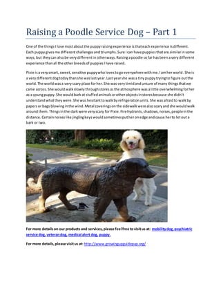 Raising a Poodle Service Dog – Part 1
One of the thingsI love mostaboutthe puppyraisingexperience isthateachexperience isdifferent.
Each puppygivesme differentchallengesandtriumphs.Sure Ican have puppiesthatare similarinsome
ways,but theycan alsobe verydifferentinotherways.Raisingapoodle sofar hasbeena verydifferent
experience thanall the otherbreedsof puppiesIhave raised.
Pixie isaverysmart, sweet,sensitive puppywholovestogoeverywhere withme.Iamherworld.She is
a verydifferentdogtodaythanshe waslast year.Last yearshe wasa tinypuppytryingto figure outthe
world.The worldwasa veryscary place forher.She was verytimidandunsure of many thingsthatwe
came across.She wouldwalkslowlythroughstoresasthe atmosphere wasalittle overwhelmingforher
as a youngpuppy.She wouldbarkat stuffedanimalsorotherobjectsinstoresbecause she didn’t
understandwhattheywere.She washesitanttowalkbyrefrigerationunits.She wasafraidto walkby
papersor bags blowinginthe wind.Metal coveringsonthe sidewalkwerealsoscaryandshe wouldwalk
aroundthem.Thingsinthe darkwere veryscary for Pixie.Firehydrants,shadows,noises,peopleinthe
distance.Certainnoiseslike jinglingkeyswouldsometimesputheronedge and cause herto letout a
bark or two.
For more detailson our products and services,please feel free tovisitus at: mobilitydog, psychiatric
service dog, veterandog, medical alert dog, puppy.
For more details,please visitus at: http://www.growingupguidepup.org/
 