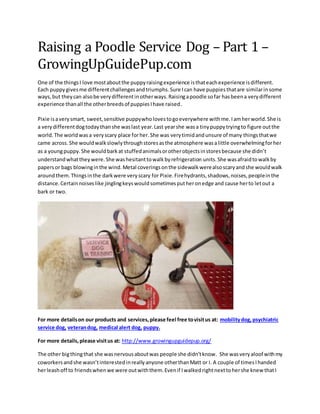 Raising a Poodle Service Dog – Part 1 –
GrowingUpGuidePup.com
One of the thingsI love mostaboutthe puppyraisingexperience isthateachexperience isdifferent.
Each puppygivesme differentchallengesandtriumphs.Sure Ican have puppiesthatare similarinsome
ways,but theycan alsobe verydifferentinotherways.Raisingapoodle sofar hasbeena verydifferent
experience thanall the otherbreedsof puppiesIhave raised.
Pixie isaverysmart, sweet,sensitive puppywholovestogoeverywhere withme.Iamherworld.She is
a verydifferentdogtodaythanshe waslast year.Last yearshe wasa tinypuppytryingto figure outthe
world.The worldwasa veryscary place forher.She was verytimidandunsure of many thingsthatwe
came across. She wouldwalkslowlythroughstoresasthe atmosphere wasalittle overwhelmingforher
as a youngpuppy.She wouldbarkat stuffedanimalsorotherobjectsinstoresbecause she didn’t
understandwhattheywere.She washesitanttowalkbyrefrigeration units.She wasafraidtowalkby
papersor bags blowinginthe wind.Metal coveringsonthe sidewalkwerealsoscaryandshe wouldwalk
aroundthem.Thingsinthe darkwere veryscary for Pixie.Firehydrants,shadows,noises,peopleinthe
distance.Certainnoiseslike jinglingkeyswouldsometimesputheronedge and cause herto letout a
bark or two.
For more detailson our products and services,please feel free tovisitus at: mobilitydog, psychiatric
service dog, veterandog, medical alert dog, puppy.
For more details,please visitus at: http://www.growingupguidepup.org/
The other bigthingthat she wasnervousaboutwas people she didn’tknow. She wasveryaloof withmy
coworkersandshe wasn’tinterestedinreallyanyone otherthanMatt or I. A couple of timesIhanded
herleashoff to friendswhenwe were outwiththem.Evenif Iwalkedrightnexttohershe knew thatI
 