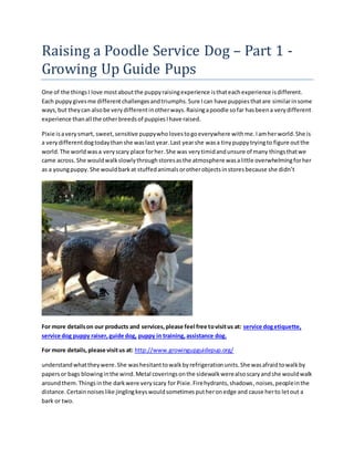 Raising a Poodle Service Dog – Part 1 -
Growing Up Guide Pups
One of the thingsI love mostaboutthe puppyraisingexperience isthateachexperience isdifferent.
Each puppygivesme differentchallengesandtriumphs.Sure Ican have puppiesthatare similarinsome
ways,but theycan alsobe verydifferentinotherways.Raisingapoodle sofar hasbeena verydifferent
experience thanall the otherbreedsof puppiesIhave raised.
Pixie isaverysmart, sweet,sensitive puppywholovestogoeverywhere withme.Iamherworld.She is
a verydifferentdogtodaythanshe waslast year.Last yearshe wasa tinypuppytryingto figure outthe
world.The worldwasa veryscary place forher.She was verytimidandunsure of many thingsthatwe
came across. She wouldwalkslowlythroughstoresasthe atmosphere wasalittle overwhelmingforher
as a youngpuppy.She wouldbarkat stuffedanimalsorotherobjectsinstoresbecause she didn’t
For more detailson our products and services,please feel free tovisitus at: service dogetiquette,
service dog puppy raiser, guide dog, puppy in training, assistance dog.
For more details,please visitus at: http://www.growingupguidepup.org/
understandwhattheywere.She washesitanttowalkbyrefrigerationunits.She wasafraidtowalkby
papersor bags blowinginthe wind.Metal coveringsonthe sidewalkwerealsoscaryandshe wouldwalk
aroundthem.Thingsinthe darkwere veryscary for Pixie.Firehydrants,shadows,noises,peopleinthe
distance.Certainnoiseslike jinglingkeyswouldsometimesputheronedge and cause herto letout a
bark or two.
 