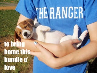 to bring
home this
bundle o’
love

 