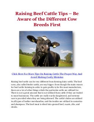 Raising Beef Cattle Tips – Be
    Aware of the Different Cow
            Breeds First




Click Here For More Tips On Raising Cattle The Proper Way And
                Avoid Making Costly Mistakes
Raising beef cattle can be very different from farming dairy cattle. The beef
cows, also called feeder cattle, are way bigger. Even though the main reason
for beef cattle farming in order to gain profits is for the meat manufacture,
there are a lot of other things which the particular cattle are utilized for.
There is not a great amount that is not utilized from cattle if they are traded
to meat businesses. The cattle are really warily slaughtered, and extreme
care is provided when they are being skinned. The cattle's hides are utilized
in all types of leather merchandise, and the insides are utilized in cosmetics
and shampoos. The beef meat is sliced into ground beef, roasts, ribs, and
steaks.
 
