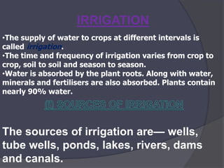 IRRIGATION
•The supply of water to crops at different intervals is
called irrigation.
•The time and frequency of irrigation varies from crop to
crop, soil to soil and season to season.
•Water is absorbed by the plant roots. Along with water,
minerals and fertilisers are also absorbed. Plants contain
nearly 90% water.
The sources of irrigation are— wells,
tube wells, ponds, lakes, rivers, dams
and canals.
 