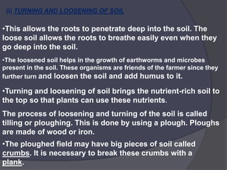 (i) TURNING AND LOOSENING OF SOIL
•This allows the roots to penetrate deep into the soil. The
loose soil allows the roots to breathe easily even when they
go deep into the soil.
•The loosened soil helps in the growth of earthworms and microbes
present in the soil. These organisms are friends of the farmer since they
further turn and loosen the soil and add humus to it.
•Turning and loosening of soil brings the nutrient-rich soil to
the top so that plants can use these nutrients.
The process of loosening and turning of the soil is called
tilling or ploughing. This is done by using a plough. Ploughs
are made of wood or iron.
•The ploughed field may have big pieces of soil called
crumbs. It is necessary to break these crumbs with a
plank.
 
