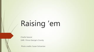 Raising ‘em
Charlie Sasscer
UME- Prince George’s County
Photo credits: Susan Schoenian
 