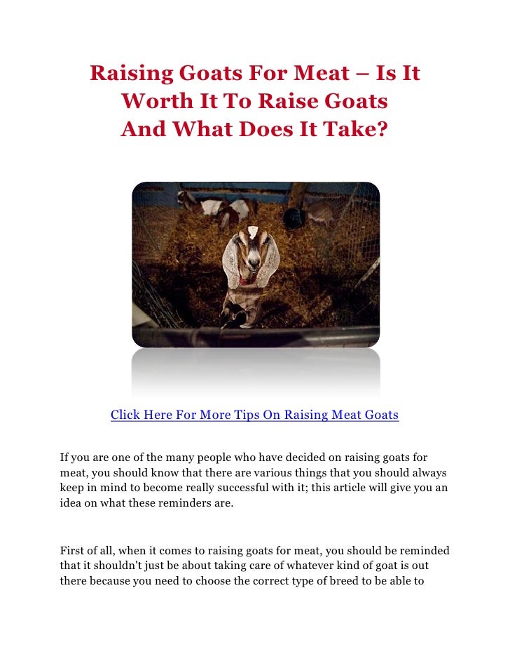 Raising Goats For Meat Is It Worth It To Raise Goats And What Does It Take