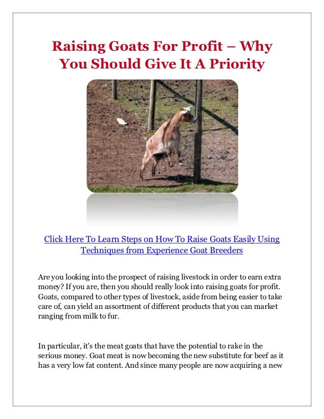 Raising Goats For Profit Why You Should Give It A Priority
