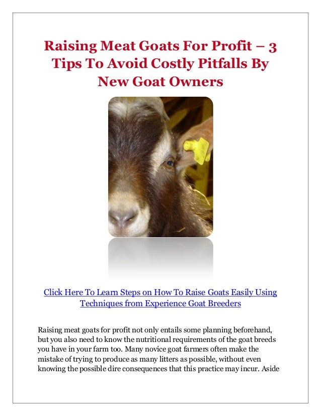 Raising Meat Goats For Profit 3 Tips To Avoid Costly Pitfalls By New