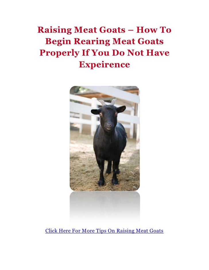 Raising Meat Goats How To Begin Rearing Meat Goats Properly If You Do