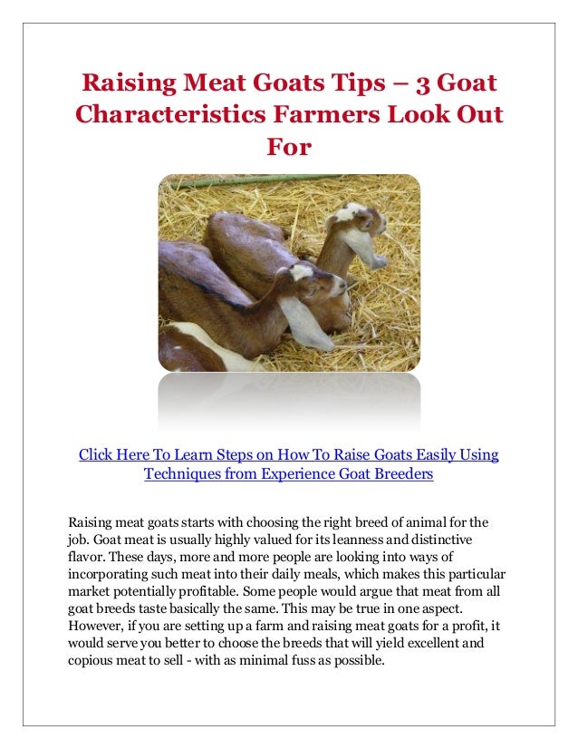Raising Meat Goats Tips 3 Goat Characteristics Farmers Look Out For