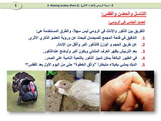 ‫الرومي‬ ‫في‬ ‫الجنس‬ ‫تحديد‬
:
‫هي‬ ‫المستخدمة‬ ‫والطرق‬ ،ً
‫ال‬‫سه‬ ‫ليس‬ ‫الرومي‬ ‫في‬ ‫واإلناث‬ ‫الذكور‬ ‫بين‬ ‫التفريق‬
:
.1
‫األثري‬ ‫الذكري‬ ‫العضو‬ ‫ورؤية‬ ‫عن‬ ‫للبحث‬ ‫للصيصان‬ ‫المجمع‬ ‫فتحة‬ ‫في‬ ‫التدقيق‬
.
.2
‫اإلناث‬ ‫من‬ ‫وأثقل‬ ‫أكبر‬ ‫فالذكور‬ ‫الوزن‬ ‫و‬ ‫الحجم‬ ‫طريق‬ ‫عن‬
.
.3
‫عندالذكور‬ ‫وأوضح‬ ‫أكبر‬ ‫ويكون‬ ‫المتدلي‬ ‫العرف‬ ‫يظهر‬ ‫الترييش‬ ‫بعد‬
.
.4
‫الصدر‬ ‫على‬ ‫النامية‬ ‫باللحية‬ ‫الذكور‬ ‫تمييز‬ ‫يمكن‬ ‫البالغة‬ ‫الطيور‬ ‫في‬
.
.5
ً
‫ا‬‫متبختر‬ ‫بخيالء‬ ‫يمشي‬ ‫الديك‬
”
‫الخطوة‬ ‫واثق‬
“
‫الفقس؟؟‬ ‫بعد‬ ‫األول‬ ‫اليوم‬ ‫من‬ ‫حتى‬
‫والفقس‬ ‫والحضن‬ ‫التناسل‬
:
3
-
‫الرومي‬ ‫تربية‬
(
‫الثاني‬ ‫الجزء‬
)
(Part 2)
3- Raising turkey
1
 