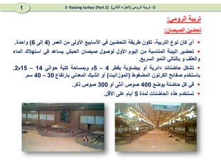 
ً
‫ي‬‫أ‬
‫كان‬
‫نوع‬
،‫التربية‬
‫تكون‬
‫طريقة‬
‫التحضين‬
‫في‬
‫األسابيع‬
‫األولى‬
‫من‬
‫العمر‬
(
4
‫إلى‬
6
)
‫واحدة‬
.

‫تحضير‬
‫البيئة‬
‫المناسبة‬
‫من‬
‫اليوم‬
‫األول‬
‫لوصول‬
‫صيصان‬
‫الحبش‬
‫يساعد‬
‫في‬
‫استهالك‬
‫الماء‬
‫والعلف‬
‫و‬
‫بالتالي‬
‫النمو‬
‫السريع‬
.

‫تشكل‬
‫حاضنات‬
‫دائرية‬
‫أو‬
‫بيضاوية‬
‫بقطر‬
4
–
5
‫م‬
‫وبمساحة‬
‫كلية‬
‫حوالي‬
14
–
15
‫م‬
2
.
‫باستخدم‬
‫صفائح‬
‫الكرتون‬
‫المضغوط‬
(
‫الموزانيت‬
)
‫أو‬
‫الشبك‬
‫المعدني‬
‫بارتفاع‬
30
–
40
‫سم‬
.

‫في‬
‫كل‬
‫حاضنة‬
‫يوضع‬
400
‫صوص‬
‫أنثى‬
‫أو‬
300
‫صوص‬
‫ذكر‬
.

‫تستخدم‬
‫هذه‬
‫الحاضنات‬
‫لمدة‬
5
‫أيام‬
‫على‬
‫األقل‬
.
‫الصيصان‬ ‫تحضين‬
:
‫الرومي‬ ‫تربية‬
:
3
-
‫الرومي‬ ‫تربية‬
(
‫الثاني‬ ‫الجزء‬
)
(Part 2)
3- Raising turkey
1
 