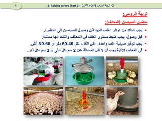 ‫الصيصان‬ ‫تحضين‬
(
‫المعالف‬
:)
‫الرومي‬ ‫تربية‬
:

‫يجب‬
‫التأكد‬
‫من‬
‫توافر‬
‫العلف‬
‫الجيد‬
‫قبل‬
‫وصول‬
‫الصيصان‬
‫إلى‬
‫الحظيرة‬
.

‫قبل‬
،‫وصول‬
‫يجب‬
‫ضبط‬
‫مستوى‬
‫العلف‬
‫في‬
‫المعالف‬
‫والتأكد‬
‫أنها‬
‫ممتلئ‬
‫ة‬
.

‫يجب‬
‫توفير‬
‫صينية‬
‫علف‬
‫واحدة‬
،
‫على‬
‫األقل‬
،
‫لكل‬
40
-
60
‫ذكر‬
‫أو‬
60
-
80
‫أنثى‬
.

‫في‬
‫المعالف‬
‫اآللية‬
‫يجب‬
‫أن‬
‫ال‬
‫تقل‬
‫المسافة‬
‫عن‬
2
‫سم‬
‫لكل‬
‫أنثى‬
‫أو‬
3
‫سم‬
‫لكل‬
‫ذكر‬
.
3
-
‫الرومي‬ ‫تربية‬
(
‫الثاني‬ ‫الجزء‬
)
(Part 2)
3- Raising turkey
1
 