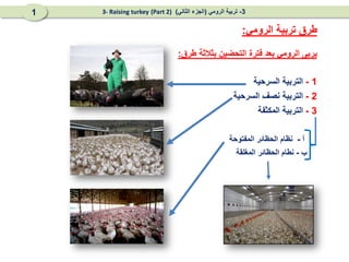 ‫طرق‬ ‫بثالثة‬ ‫التحضين‬ ‫فترة‬ ‫بعد‬ ‫الرومي‬ ‫يربى‬
:
1
-
‫السرحية‬ ‫التربية‬
2
-
‫السرحية‬ ‫نصف‬ ‫التربية‬
3
-
‫المكثفة‬ ‫التربية‬
‫آ‬
-
‫المفتوحة‬ ‫الحظائر‬ ‫نظام‬
‫ب‬
-
‫المغلقة‬ ‫الحظائر‬ ‫نطام‬
‫الرومي‬ ‫تربية‬ ‫طرق‬
:
3
-
‫الرومي‬ ‫تربية‬
(
‫الثاني‬ ‫الجزء‬
)
(Part 2)
3- Raising turkey
1
 