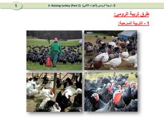1
-
‫السرحية‬ ‫التربية‬
:
‫الرومي‬ ‫تربية‬ ‫طرق‬
:
3
-
‫الرومي‬ ‫تربية‬
(
‫الثاني‬ ‫الجزء‬
)
(Part 2)
3- Raising turkey
1
 