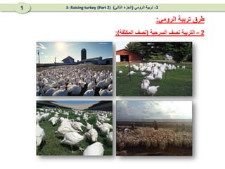 2
–
‫السرحية‬ ‫نصف‬ ‫التربية‬
(
‫المكثفة‬ ‫نصف‬
:)
‫الرومي‬ ‫تربية‬ ‫طرق‬
:
3
-
‫الرومي‬ ‫تربية‬
(
‫الثاني‬ ‫الجزء‬
)
(Part 2)
3- Raising turkey
1
 