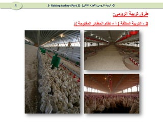 3
-
‫المكثفة‬ ‫التربية‬
(
‫آ‬
–
‫المفتوحة‬ ‫الحظائر‬ ‫نظام‬
:)
‫الرومي‬ ‫تربية‬ ‫طرق‬
:
3
-
‫الرومي‬ ‫تربية‬
(
‫الثاني‬ ‫الجزء‬
)
(Part 2)
3- Raising turkey
1
 