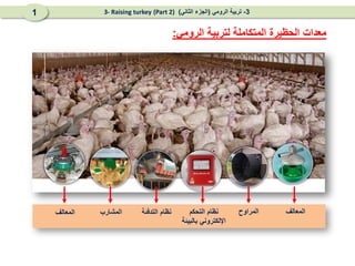 ‫المعالف‬
‫المراوح‬
‫التحكم‬ ‫نظام‬
‫بالبيئة‬ ‫اإللكتروني‬
‫التدفئة‬ ‫نظام‬
‫المشارب‬
‫المعالف‬
‫الرومي‬ ‫لتربية‬ ‫المتكاملة‬ ‫الحظيرة‬ ‫معدات‬
:
3
-
‫الرومي‬ ‫تربية‬
(
‫الثاني‬ ‫الجزء‬
)
(Part 2)
3- Raising turkey
1
 