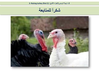 ‫للمتابعة‬ ً
‫ا‬‫شكر‬
3
-
‫الرومي‬ ‫تربية‬
(
‫الثاني‬ ‫الجزء‬
)
(Part 2)
3- Raising turkey
 