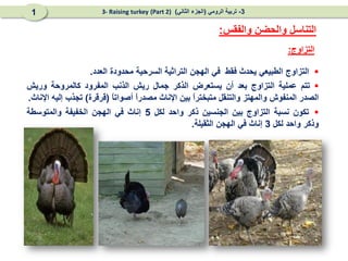 
‫التزاوج‬
‫الطبيعي‬
‫يحدث‬
‫فقط‬
‫في‬
‫الهجن‬
‫التراثية‬
‫السرحية‬
‫محدودة‬
‫العدد‬
.

‫تتم‬
‫عملية‬
‫التزاوج‬
‫بعد‬
‫أن‬
‫يستعرض‬
‫الذكر‬
‫جمال‬
‫ريش‬
‫الذنب‬
‫المفرود‬
‫كالمروحة‬
‫وريش‬
‫الصدر‬
‫المنفوش‬
‫والمهتز‬
‫والتنقل‬
ً
‫ا‬‫متبختر‬
‫بين‬
‫اإلناث‬
ً
‫ا‬‫مصدر‬
ً
‫ا‬‫أصوات‬
(
‫قرقرة‬
)
‫تجذب‬
‫إليه‬
‫اإلناث‬
.

‫تكون‬
‫نسبة‬
‫التزاوج‬
‫بين‬
‫الجنسين‬
‫ذكر‬
‫واحد‬
‫لكل‬
5
‫إناث‬
‫في‬
‫الهجن‬
‫الخفيفة‬
‫والمتوسطة‬
‫وذكر‬
‫واحد‬
‫لكل‬
3
‫إناث‬
‫في‬
‫الهجن‬
‫الثقيلة‬
.
‫التزاوج‬
:
‫والفقس‬ ‫والحضن‬ ‫التناسل‬
:
3
-
‫الرومي‬ ‫تربية‬
(
‫الثاني‬ ‫الجزء‬
)
(Part 2)
3- Raising turkey
1
 