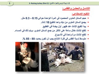 
‫حجم‬
‫السائل‬
‫المنوي‬
‫المحصود‬
‫في‬
‫المرة‬
‫الواحدة‬
‫حوالي‬
0.15
–
0.3
‫ملل‬
.

‫يجمع‬
‫السائل‬
‫المنوي‬
‫من‬
‫ديك‬
‫واحد‬
‫لتلقيح‬
10
‫إناث‬
.

‫القطيع‬ ‫في‬ ‫بيضة‬ ‫أول‬ ‫ظهور‬ ‫عند‬ ‫اإلناث‬ ‫تلقيح‬ ‫يبدأ‬
.

‫المساء‬ ‫في‬ ‫ذلك‬ ‫ويتم‬ ،‫المنوي‬ ‫السائل‬ ‫جمع‬ ‫من‬ ‫األكثر‬ ‫على‬ ‫ساعة‬ ‫خالل‬ ‫اإلناث‬ ‫تلقح‬
.

‫األسبوع‬ ‫في‬ ‫واحدة‬ ‫مرة‬ ‫اإلناث‬ ‫تلقح‬
.

‫بحدود‬ ‫تكون‬ ‫أن‬ ‫يجب‬ ‫اإلنتاج‬ ‫فترة‬ ‫في‬ ‫الفقس‬ ‫نسبة‬ ‫متوسط‬
80
–
85
.%
‫اإلصطناعي‬ ‫التلقيح‬
:
‫والفقس‬ ‫والحضن‬ ‫التناسل‬
:
3
-
‫الرومي‬ ‫تربية‬
(
‫الثاني‬ ‫الجزء‬
)
(Part 2)
3- Raising turkey
1
 