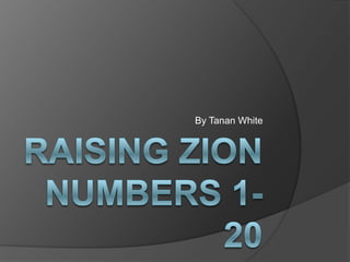 Raising ZionNumbers 1-20,[object Object],By Tanan White,[object Object]
