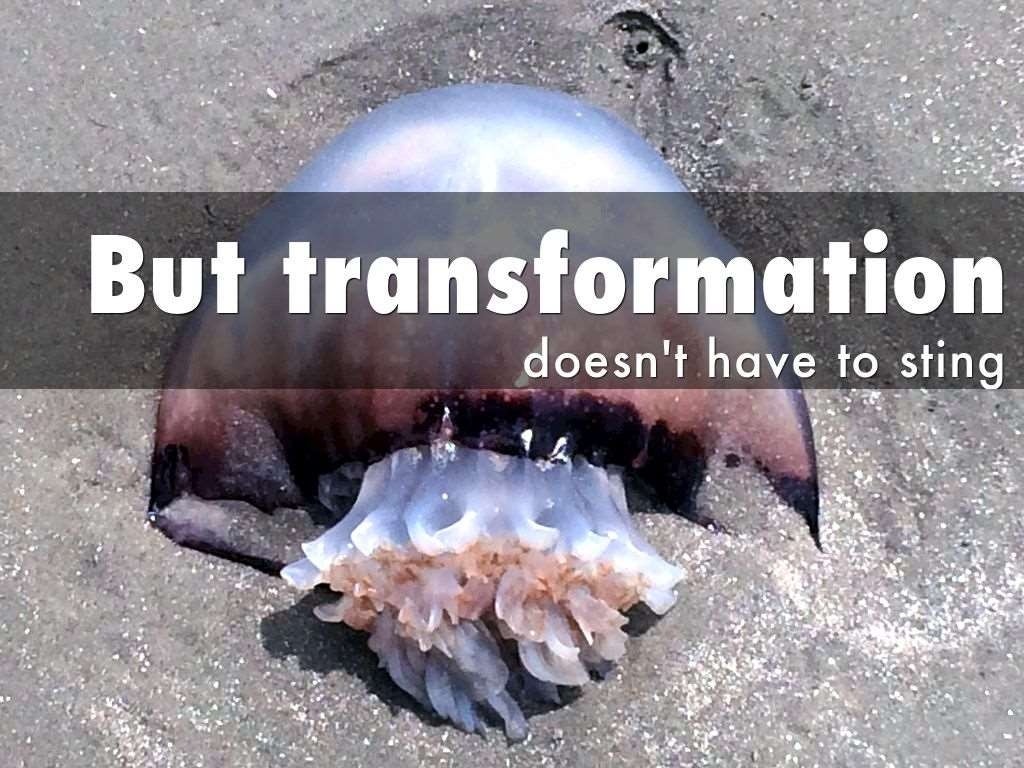 Renaissance Alliance Insurance Services, LLC Membership