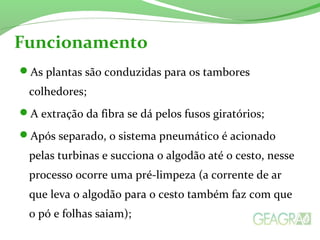 Funcionamento 
As plantas são conduzidas para os tambores 
colhedores; 
A extração da fibra se dá pelos fusos giratórios; 
Após separado, o sistema pneumático é acionado 
pelas turbinas e succiona o algodão até o cesto, nesse 
processo ocorre uma pré-limpeza (a corrente de ar 
que leva o algodão para o cesto também faz com que 
o pó e folhas saiam); 
 