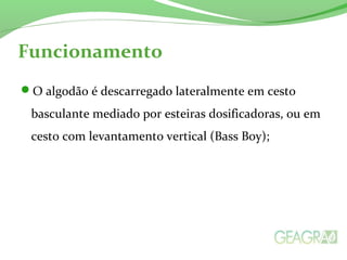 Funcionamento 
O algodão é descarregado lateralmente em cesto 
basculante mediado por esteiras dosificadoras, ou em 
cesto com levantamento vertical (Bass Boy); 
 