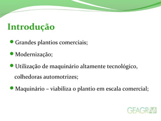 Introdução 
Grandes plantios comerciais; 
Modernização; 
Utilização de maquinário altamente tecnológico, 
colhedoras automotrizes; 
Maquinário – viabiliza o plantio em escala comercial; 
 