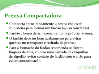 Prensa Compactadora 
Comporta aproximadamente 4 cestos cheios da 
colhedeira para formar um fardão (+/- 10 toneladas) 
Fardão : forma de armazenamento na própria lavoura; 
O fardão deve ter bom acabamento para evitar 
quebras no transporte e retirada da prensa; 
Para a formação do fardão recomenda-se fazer a 
limpeza da área, colocar uma camada de casquilhas 
de algodão, evitar contato do fardão com o chão para 
evitar contaminação; 
 