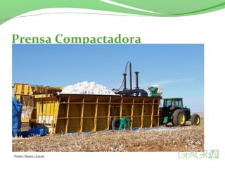 Prensa Compactadora 
Fonte: Stracci,Lucas 
 