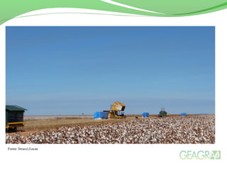 Fonte: Stracci,Lucas 
 