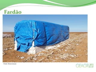 Fardão 
Fonte: Stracci,Lucas 
 