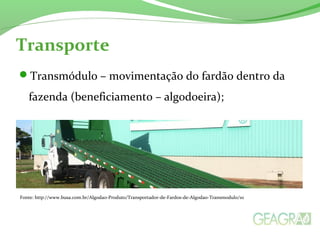 Transporte 
Transmódulo – movimentação do fardão dentro da 
fazenda (beneficiamento – algodoeira); 
Fonte: http://www.busa.com.br/Algodao-Produto/Transportador-de-Fardos-de-Algodao-Transmodulo/10 
 