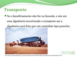 Transporte 
Se o beneficiamento não for na fazenda, e sim em 
uma algodoeira terceirizada o transporte ate a 
algodoeira será feito por um caminhão tipo prancha; 
Fonte: http://sistemasdeproducao.cnptia.embrapa.br/FontesHTML/Algodao/AlgodaoCerrado/figColheita7.htm 
 