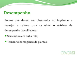 Desempenho 
Pontos que devem ser observados ao implantar e 
manejar a cultura para se obter o máximo de 
desempenho da colhedora: 
Semeadura em linha reta; 
Tamanho homogêneo de plantas; 
 