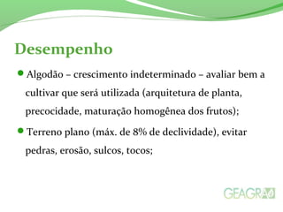 Desempenho 
Algodão – crescimento indeterminado – avaliar bem a 
cultivar que será utilizada (arquitetura de planta, 
precocidade, maturação homogênea dos frutos); 
Terreno plano (máx. de 8% de declividade), evitar 
pedras, erosão, sulcos, tocos; 
 