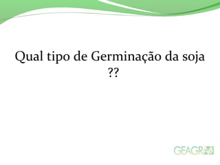 Qual tipo de Germinação da soja
??
 