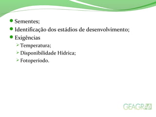 Sementes;
Identificação dos estádios de desenvolvimento;
Exigências
 Temperatura;
 Disponibilidade Hídrica;
 Fotoperíodo.
 