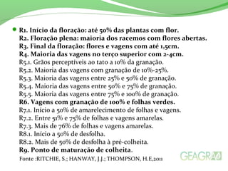R1. Início da floração: até 50% das plantas com flor.
R2. Floração plena: maioria dos racemos com flores abertas.
R3. Final da floração: flores e vagens com até 1,5cm.
R4. Maioria das vagens no terço superior com 2-4cm.
R5.1. Grãos perceptíveis ao tato a 10% da granação.
R5.2. Maioria das vagens com granação de 10%-25%.
R5.3. Maioria das vagens entre 25% e 50% de granação.
R5.4. Maioria das vagens entre 50% e 75% de granação.
R5.5. Maioria das vagens entre 75% e 100% de granação.
R6. Vagens com granação de 100% e folhas verdes.
R7.1. Início a 50% de amarelecimento de folhas e vagens.
R7.2. Entre 51% e 75% de folhas e vagens amarelas.
R7.3. Mais de 76% de folhas e vagens amarelas.
R8.1. Início a 50% de desfolha.
R8.2. Mais de 50% de desfolha à pré-colheita.
R9. Ponto de maturação de colheita.
Fonte :RITCHIE, S.; HANWAY, J.J.; THOMPSON, H.E,2011
 