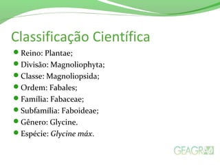 Classificação Científica
Reino: Plantae;
Divisão: Magnoliophyta;
Classe: Magnoliopsida;
Ordem: Fabales;
Família: Fabaceae;
Subfamília: Faboideae;
Gênero: Glycine.
Espécie: Glycine máx.
 