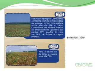 Fonte: UNIDERP
 