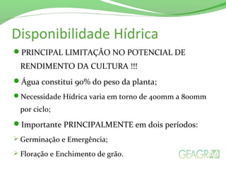 Disponibilidade Hídrica
PRINCIPAL LIMITAÇÃO NO POTENCIAL DE
RENDIMENTO DA CULTURA !!!
Água constitui 90% do peso da planta;
Necessidade Hídrica varia em torno de 400mm a 800mm
por ciclo;
Importante PRINCIPALMENTE em dois períodos:
 Germinação e Emergência;
 Floração e Enchimento de grão.
 