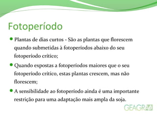 Fotoperíodo
Plantas de dias curtos - São as plantas que florescem
quando submetidas à fotoperíodos abaixo do seu
fotoperíodo crítico;
Quando expostas a fotoperíodos maiores que o seu
fotoperíodo crítico, estas plantas crescem, mas não
florescem;
A sensibilidade ao fotoperíodo ainda é uma importante
restrição para uma adaptação mais ampla da soja.
 