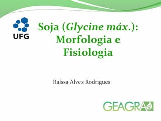 Raíssa Alves Rodrigues
Soja (Glycine máx.):
Morfologia e
Fisiologia
 